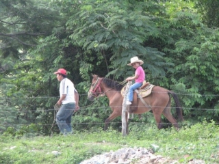 Paseo a caballo